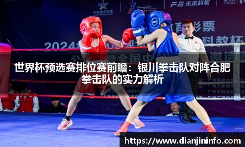 世界杯预选赛排位赛前瞻：银川拳击队对阵合肥拳击队的实力解析